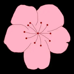 WWW,av213·COM网站APPAPP应用